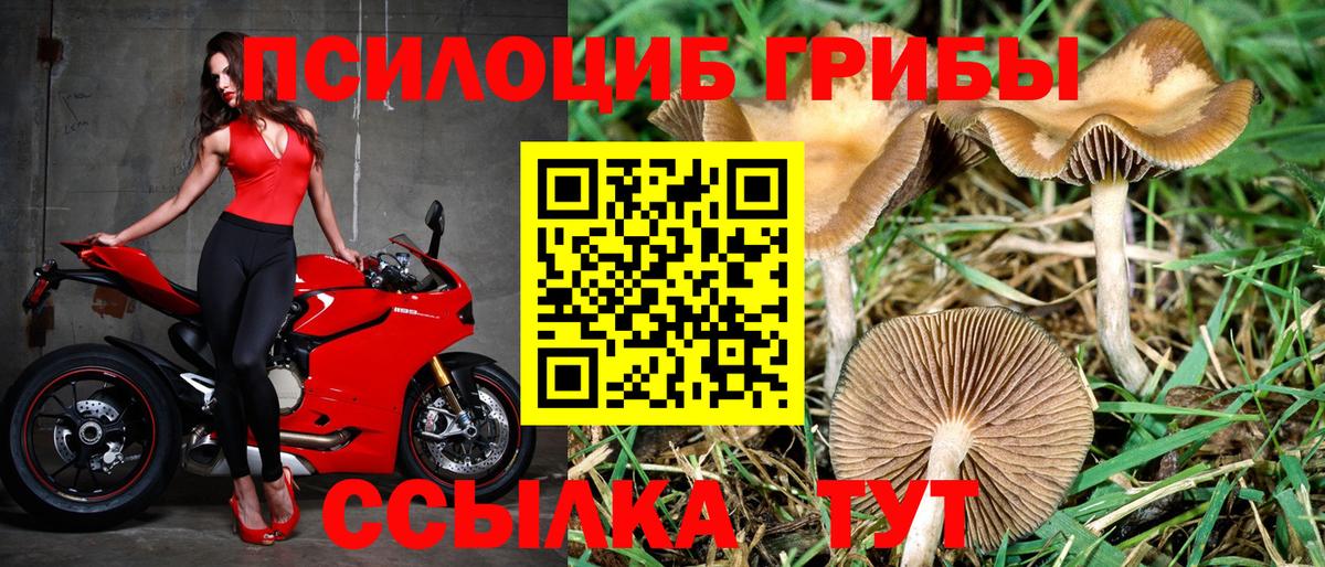 Галлюциногенные грибы мицелий Малгобек